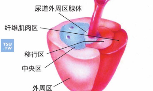 药用高锰酸钾哪个牌子网- 高锰酸钾那个厂家好知识,分享哪种高锰酸钾便宜又好用